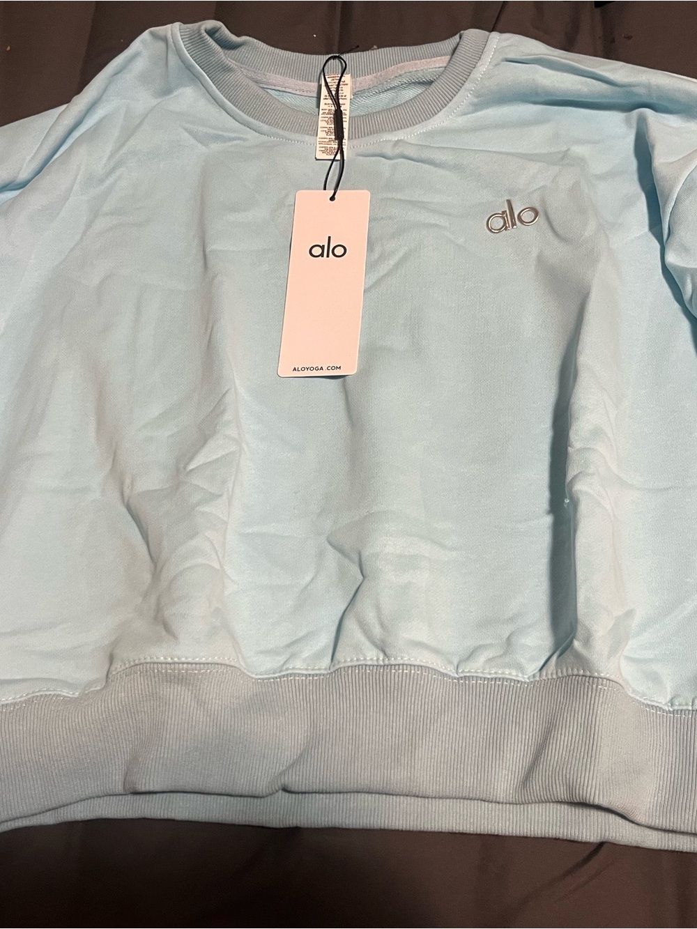 ALO Yoga Light Blue Pullover Sweatshirt